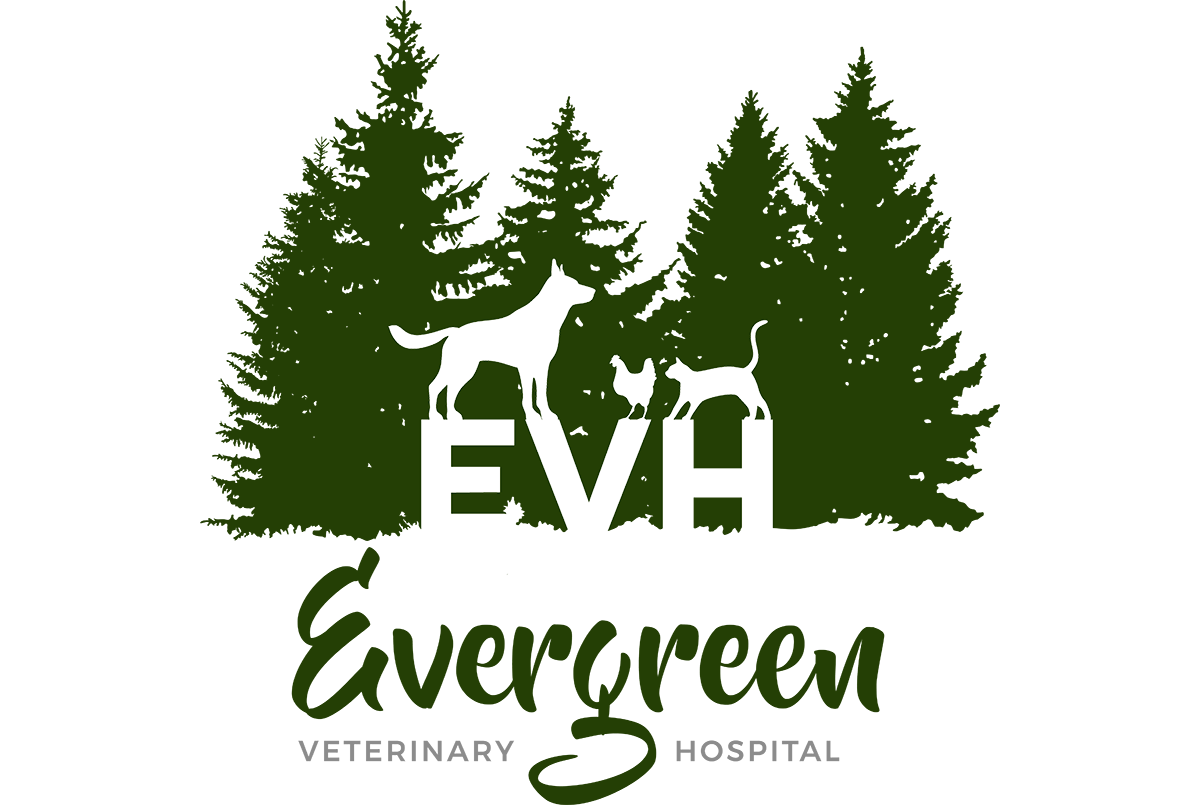 Evergreen Veterinary Hospital